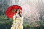 geisha-1822467_1280.jpg